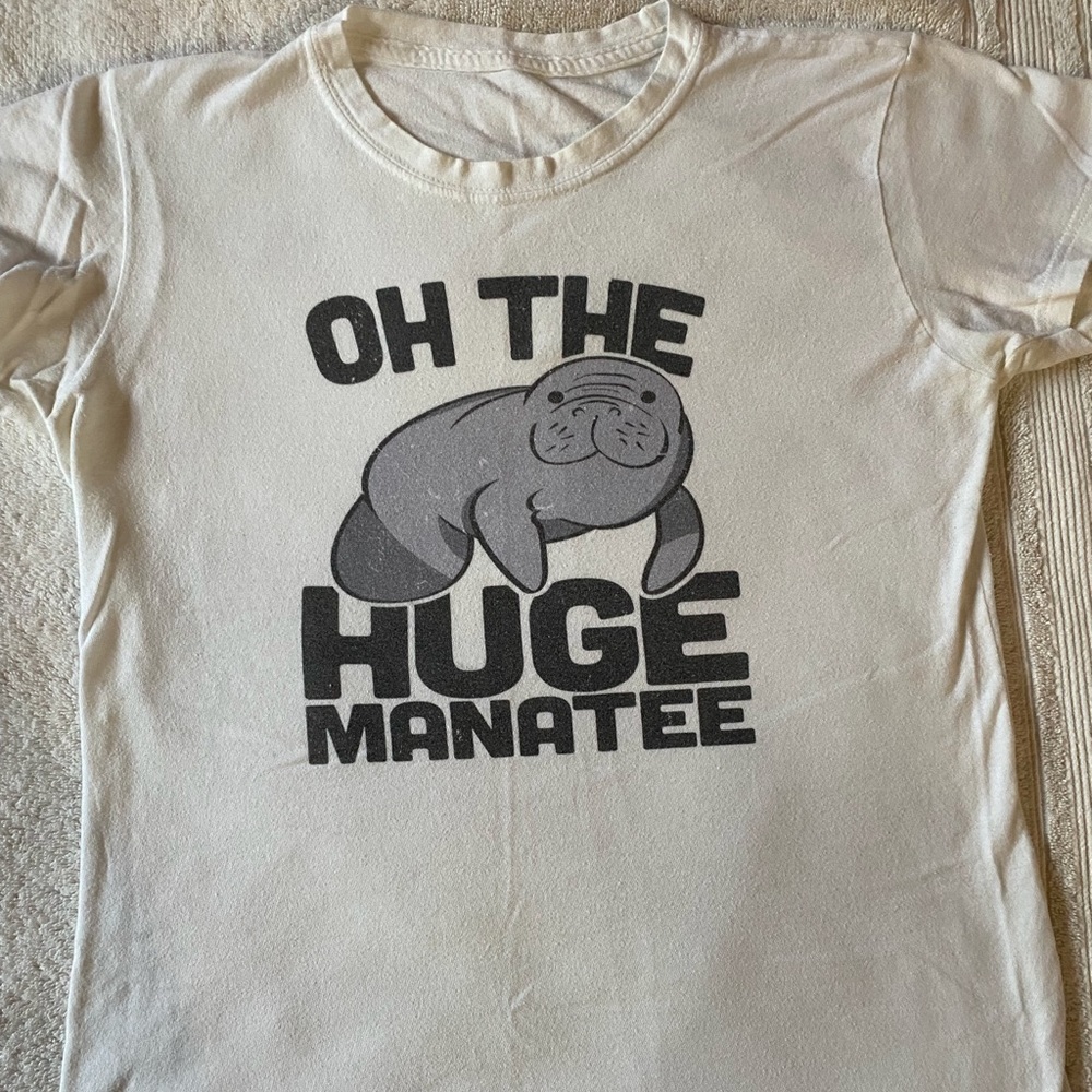 Unlabeled cream colored short sleeve tee shirt, size S